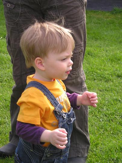Imme 2 mei 2008 (3).JPG